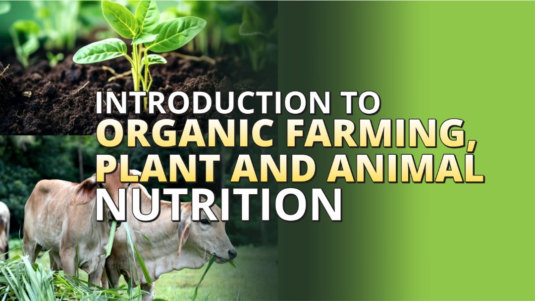 INTRODUCTION TO ORGANIC FARMING
