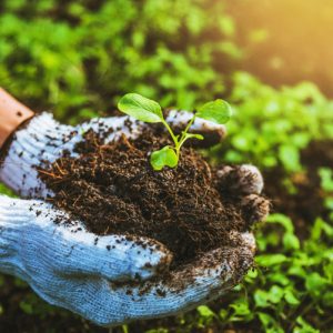 Group Farming - Slot